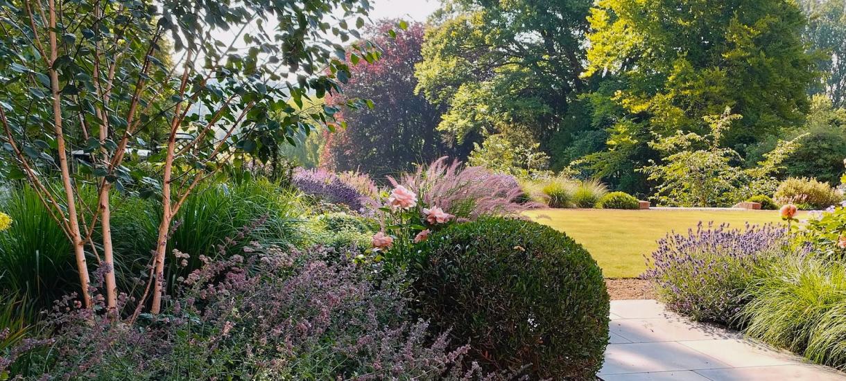 Family garden (Hampshire)