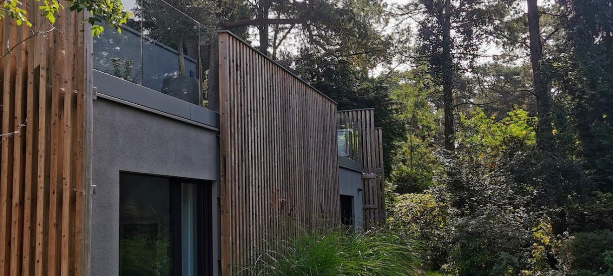 Woodland garden (Hampshire)